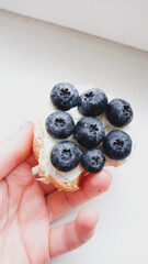 blueberries in the hands