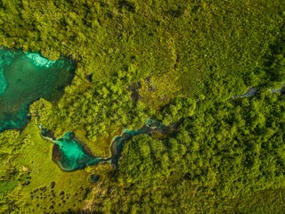 Abstract Nature Pattern in Wetland and Grassland in Slovenia Drone View