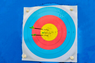 archery target and arrow