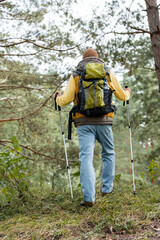 Fototapeta na wymiar back view of man with backpack and trekking poles walking in forest
