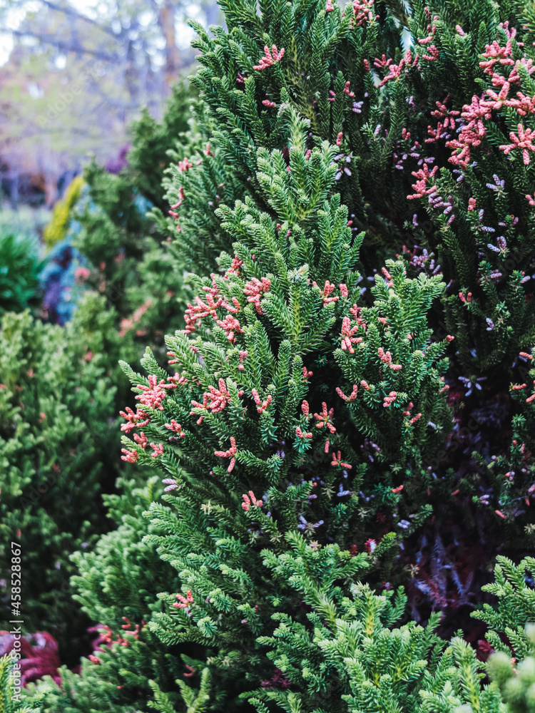 Sticker Tree foliage