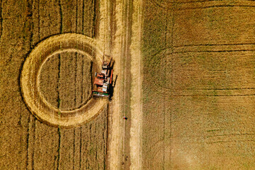 aerial view of combine creates circles on a wheat field. harvest time, 4K image from above.