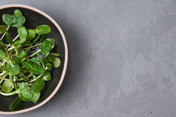 Healthy food concept, sunflower microgreens in a bowl on a gray background, vegetarian sprouted greens.