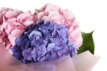 Bouquet with beautiful hortensia flowers on white background, closeup