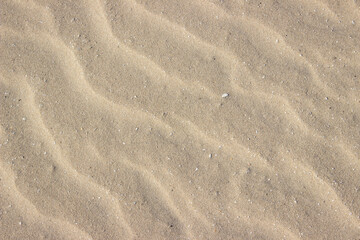 By wind influenced sand on the beach