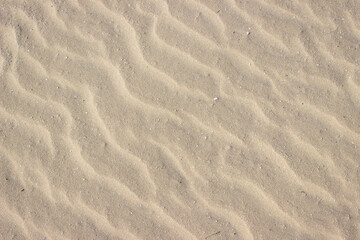 Fototapeta na wymiar By wind influenced sand on the beach