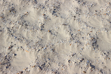 By wind influenced sand on the beach