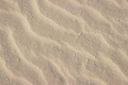 By wind influenced sand on the beach