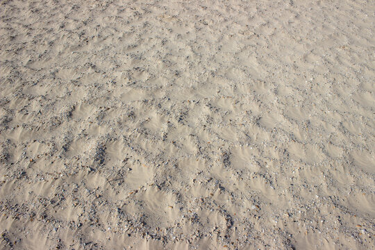 By wind influenced sand on the beach