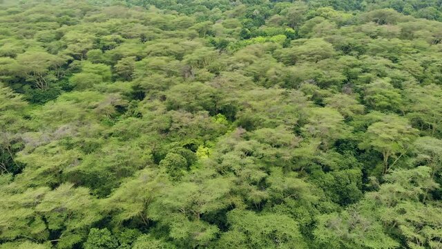 aerial view flying above lake manyara national park at evening the concervation area in tanzania near mto wa mbu arusha