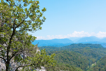 Oak against the background of the blue sky and tops of the mountains and the gorge of the valley of the Eagle rocks in the Krasnodar territory, summer.