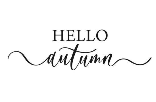Hello autumn. Modern calligraphy inscription poster. Wall art decor.