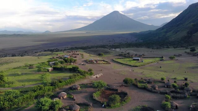 aerial view on sheep flock in maasai village in front of the ol doinyo lengai mountain of god in the maasai language an active volcano in arusha region i the northern tanzania africa at sunset