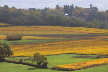 Fototapeta na wymiar paysage de vignoble près de buxy en bourgogne en automne