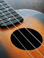 Obraz premium Ukulele strings and soundboard close up