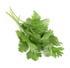 Fresh green coriander leaves on white background, top view