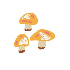 Autumn elements in warm colors with mushrooms. Vector design for autumn card, poster, logo, print, etc. 