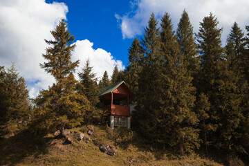 wooden cabin in highland forest wilderness nature environment autumn pine trees natural picturesque