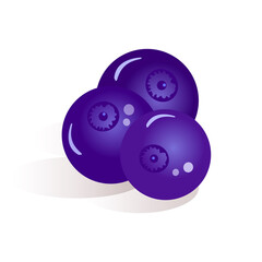  illustration of blueberries on a white background. Blueberries for labels, logo, menus and website, advertising, icons for printing on fabric. Healthy vegan food concept.