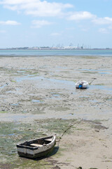 Obraz premium Fishing boats on the Cachucha beach in Puerto Real, Cadiz. Andalusia, Spain. Europe. 