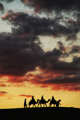 Fototapeta na wymiar Camel Sunset in the Agafay Desert 