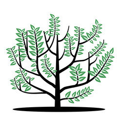Realistic tree collection isolated on white background, trees and roots with green leaves look beautiful and fresh. tree logo style and
of tree illustrations It can be used to showcase natural topics