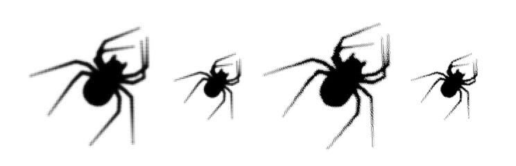 Set of black halftone spider silhouette.