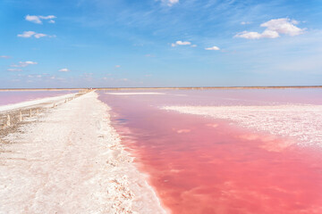 Amazing pink salt lake in the Crimea. A beautiful deserted landscape of a pink lake and a blue sky.