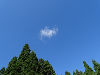 Obraz premium 初秋の里山