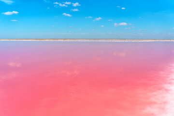 Amazing pink salt lake in the Crimea. A beautiful deserted landscape of a pink lake and a blue sky.