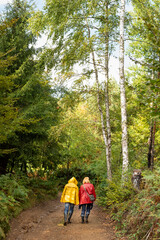 Fototapeta premium Middle age couple in raincoats walking through forest