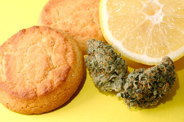 Homemade cookies with CBD oil. Marijuana buds on yellow background. Cannabis blooms and lemon cookies close-up. Top view, flat lay.