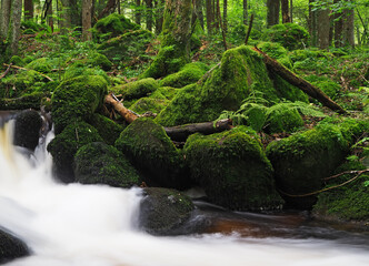 Waterfall of St.Wolfgang on the river Mala Vltavice, Sumava mountains, Czech Republic