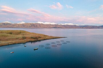 Aquaculture Fish Farm in the Early Morning Used for Fish Farming 