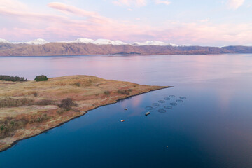 Aquaculture Fish Farm in the Early Morning Used for Fish Farming 