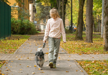 Naklejka na ściany i meble Autumn. A girl walks her dog in the park