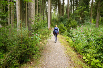 Obraz premium Hiking on hiking trail 