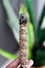 A close up image of a burning incense stick and smoke from incense burning. Beautiful smoke. Stick used for energy clearing and healing. White sage.