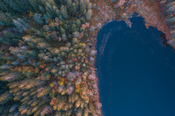 Lakeside Forest in the Fall Aerial View