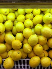 Pile of Fresh Yellow Lemon.