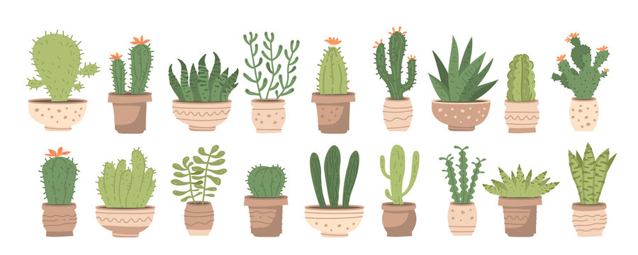 Big set with different cute cacti and succulents in pots on white background. Vector illustration set with different houseplants in ceramic pots © Pictulandra