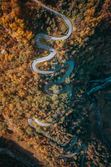Winding and Twisting Steep Hill in the Fall Bird's Eye View