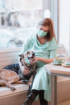 Pregnant women and her dog in medical face mask are sitting at the table in cafe. Pregnancy concept. Pet’s care concept.