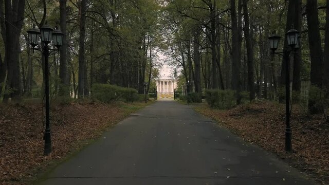 Alea trees along the asphalt road in autumn. old building with columns . dolly camera shot