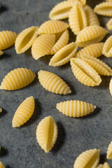 Homemade Dry Organic Cavatelli Pasta
