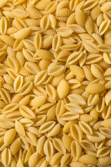 Homemade Dry Organic Cavatelli Pasta