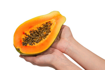 Papaya fruit isolated on a white background in woman hands. Half papaya.