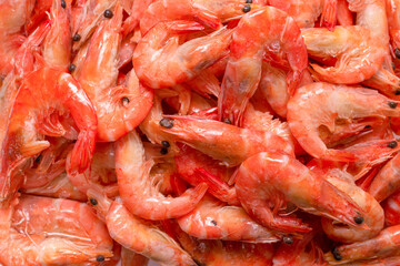 Shrimps background texture. A lot of shrimps. Cooked shrimps.