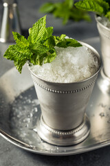 Boozy Refreshing Bourbon MInt Julep
