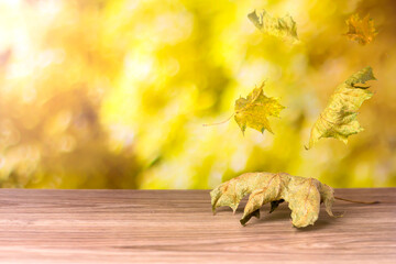 Autumn leaves fall on the table. Autumn background.